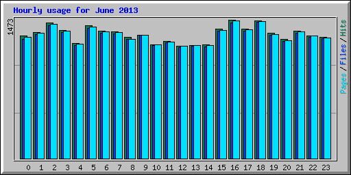 Hourly usage for June 2013