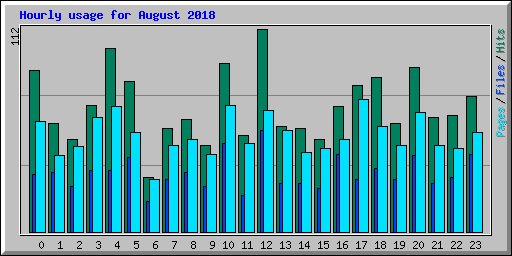 Hourly usage for August 2018