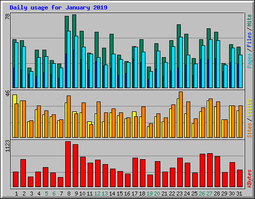 Daily usage for January 2019