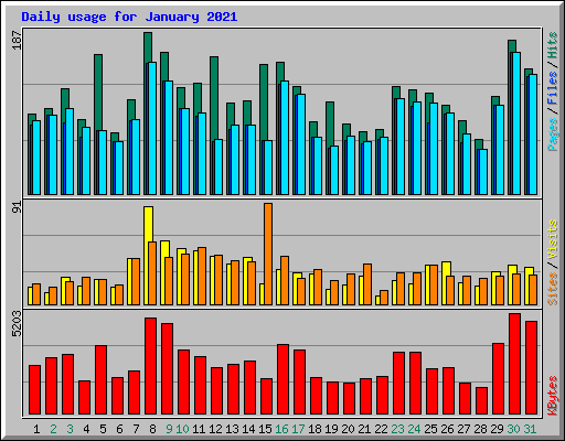 Daily usage for January 2021