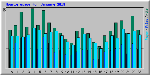 Hourly usage for January 2019