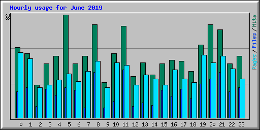 Hourly usage for June 2019