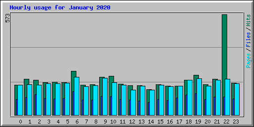 Hourly usage for January 2020