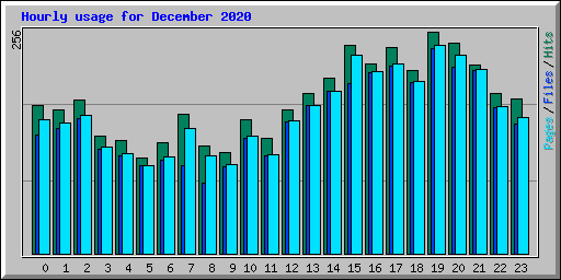 Hourly usage for December 2020