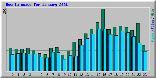 Hourly usage for January 2021