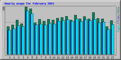 Hourly usage for February 2021