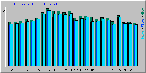 Hourly usage for July 2021